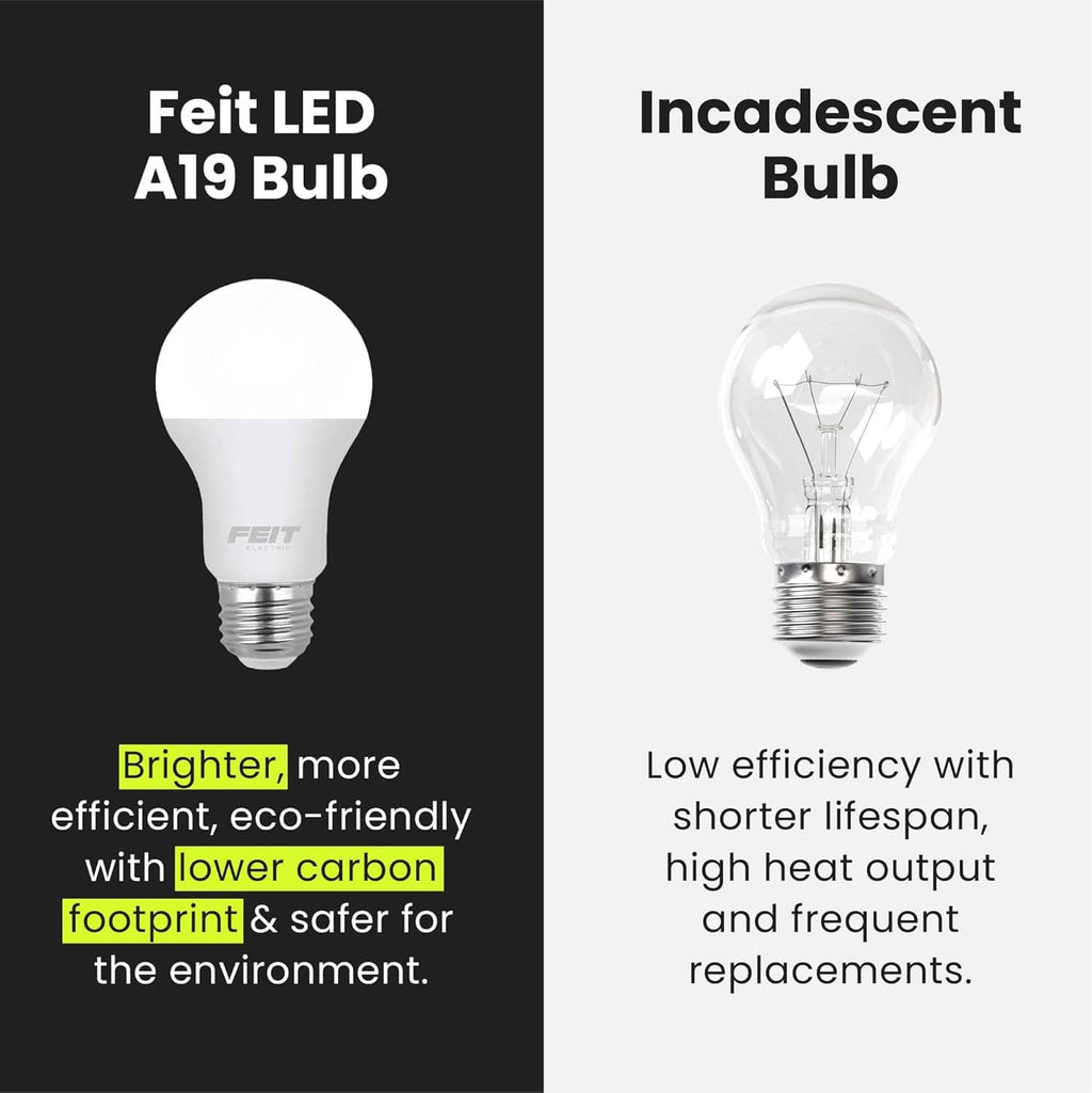 Feit LED A19 bulb graphic with frosted white glass and E26 medium base.