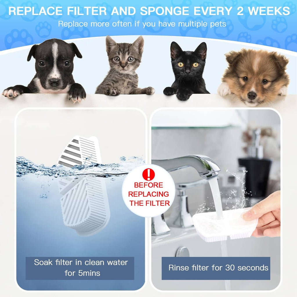Water fountain replacement filter and sponge with soaking and rinsing shown