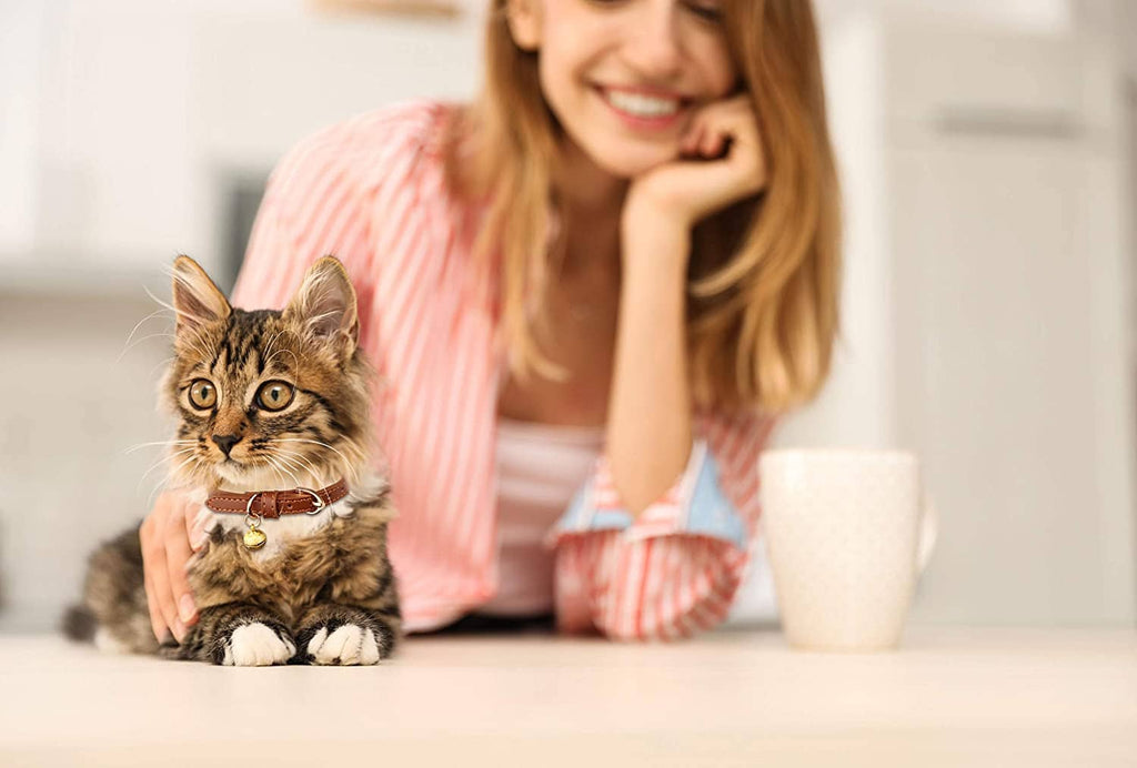Cat wearing a leather collar with small golden bell while a woman kneels nearby