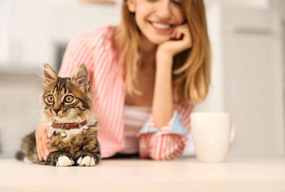 Cat wearing a leather collar with small golden bell while a woman kneels nearby