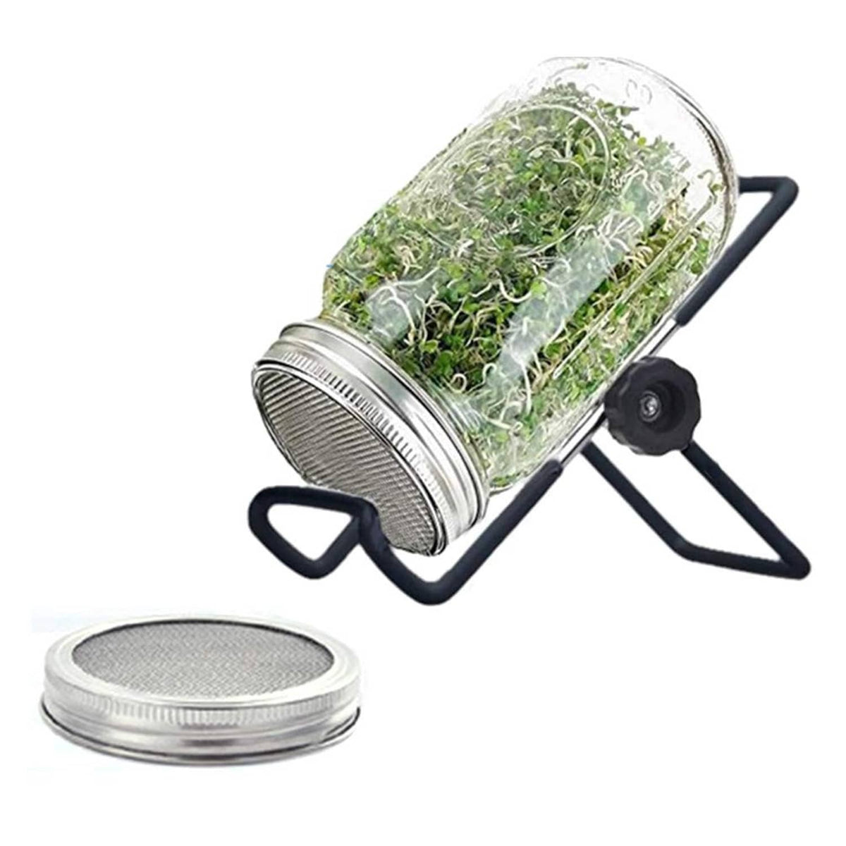 Glass sprouting jar with stainless steel mesh lid and black stand
