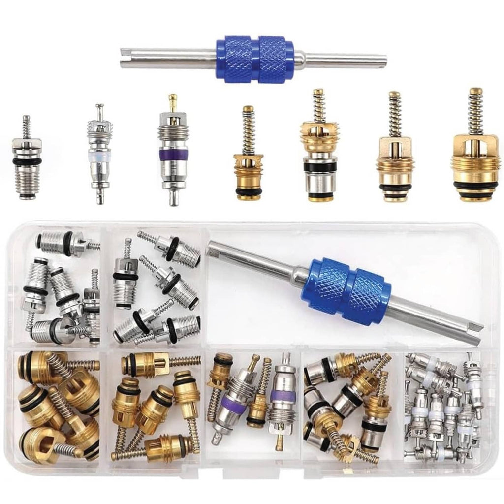 Car AC valve core removal kit in clear case with dual-end blue core tool