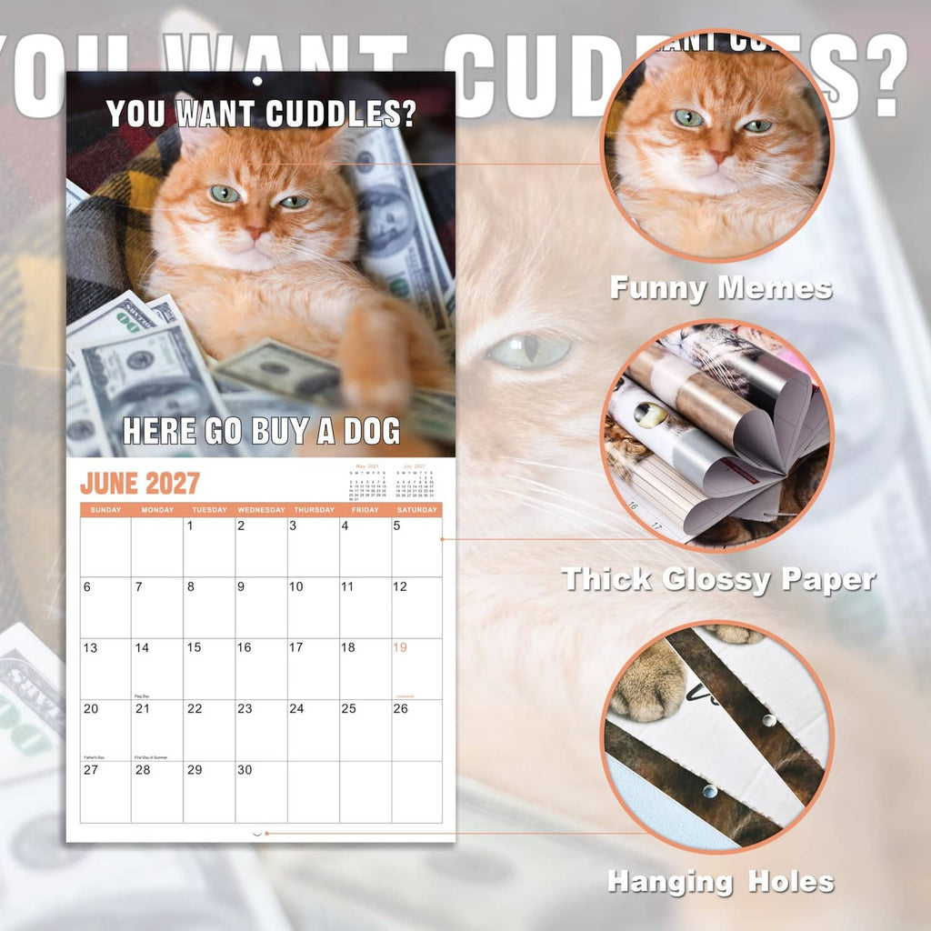 Cat wall calendar with June 2027 grid, thick glossy paper, and hanging holes