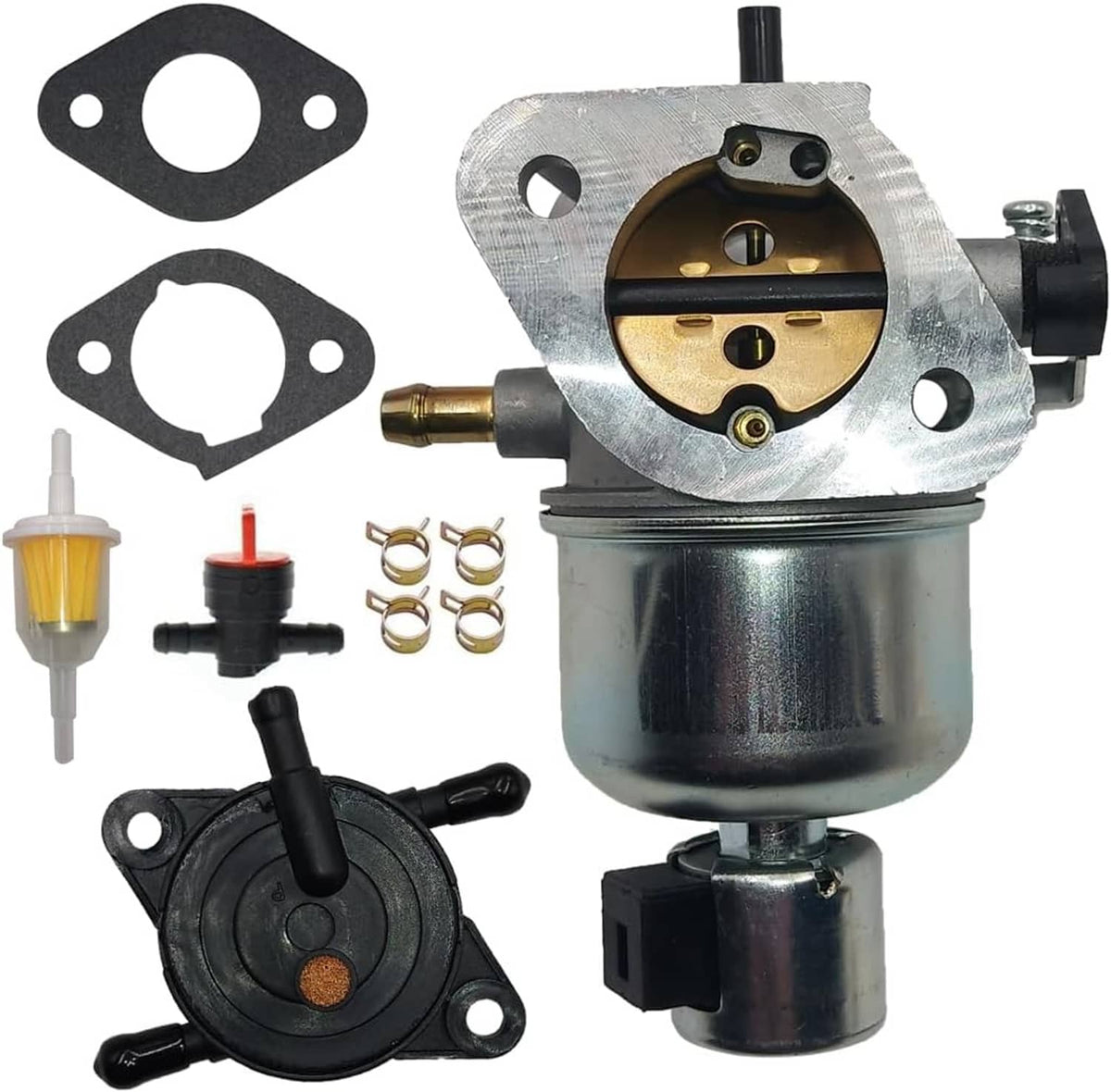 Carburetor and fuel pump assembly with gaskets, filter, and small mounting parts