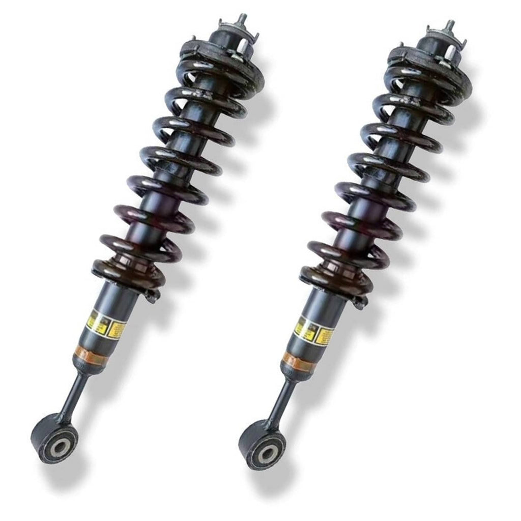 Front shock absorber strut assembly pair, dark spring coils with bottom eye mounts