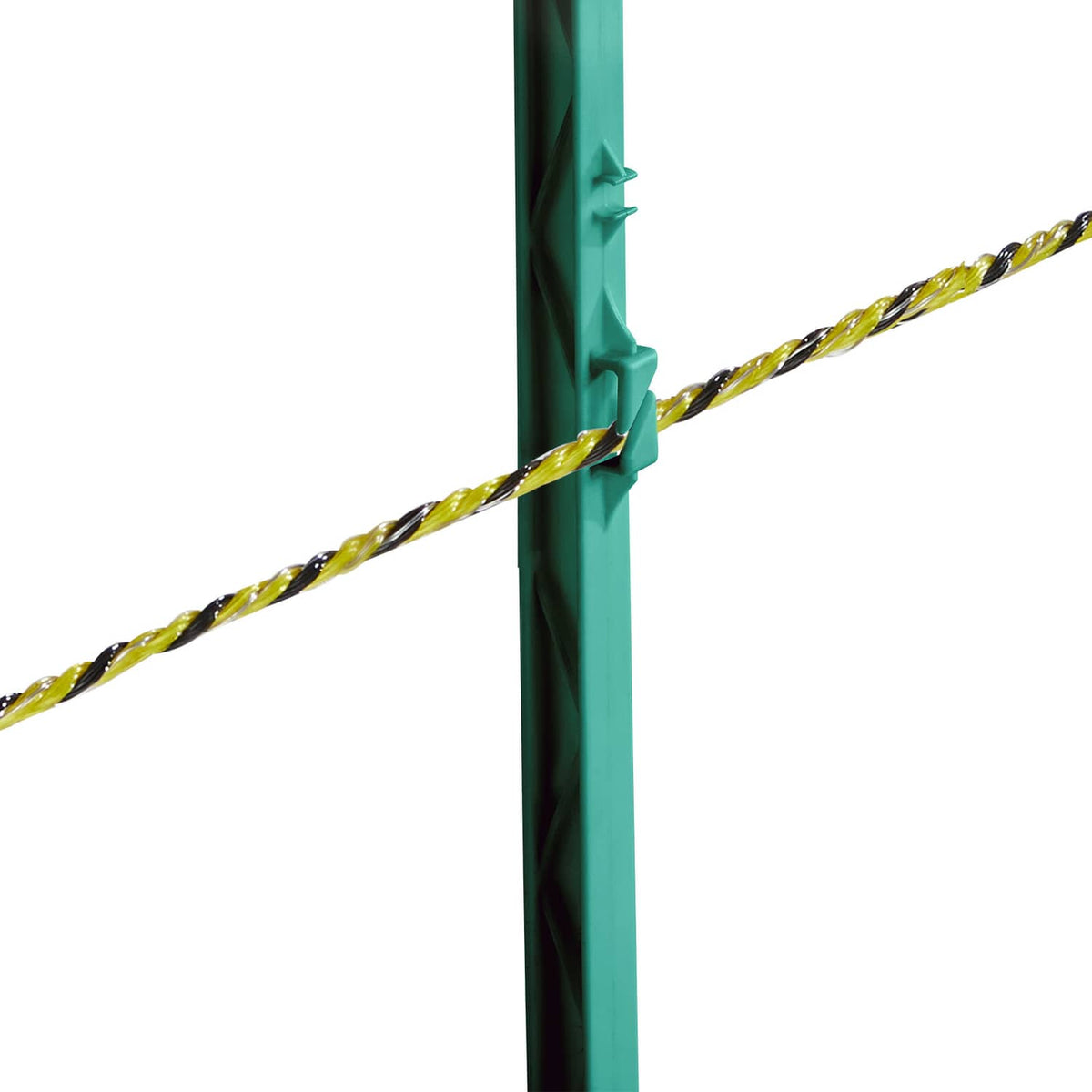 Electric fence wire clamp holding yellow-and-black polywire to green post
