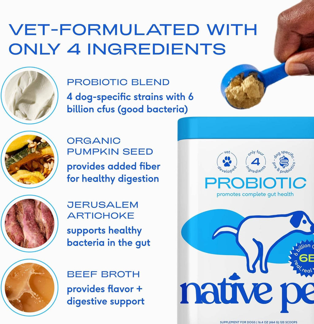 Vet-formulated Native Pet dog probiotic powder with 4 ingredients: pumpkin seed and beef broth