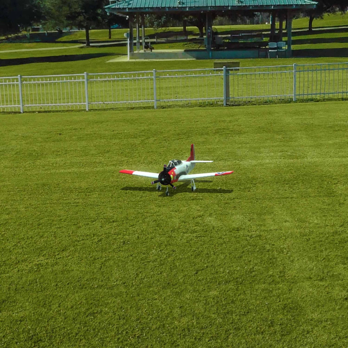 Small RC airplane with red accents on grassy field