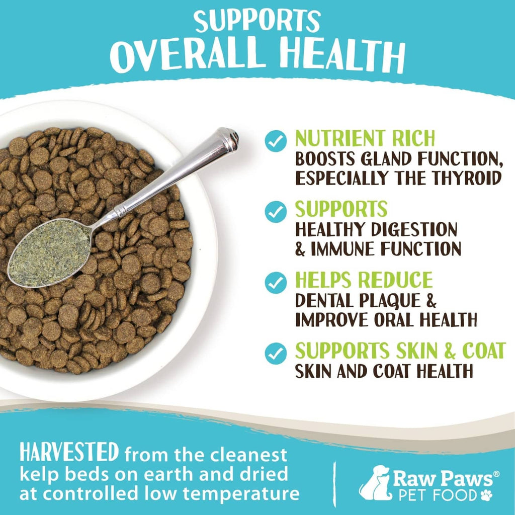 Organic sea kelp supplement pellets in bowl with scoop