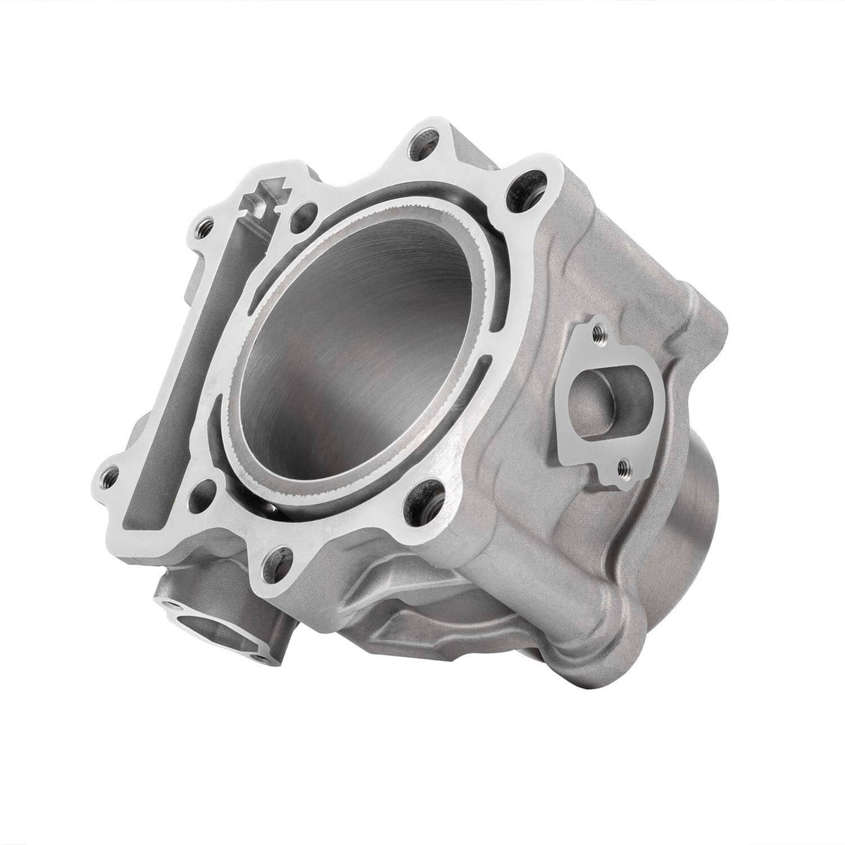 Cylinder assembly with machined cylinder bore and mounting flanges, silver metal