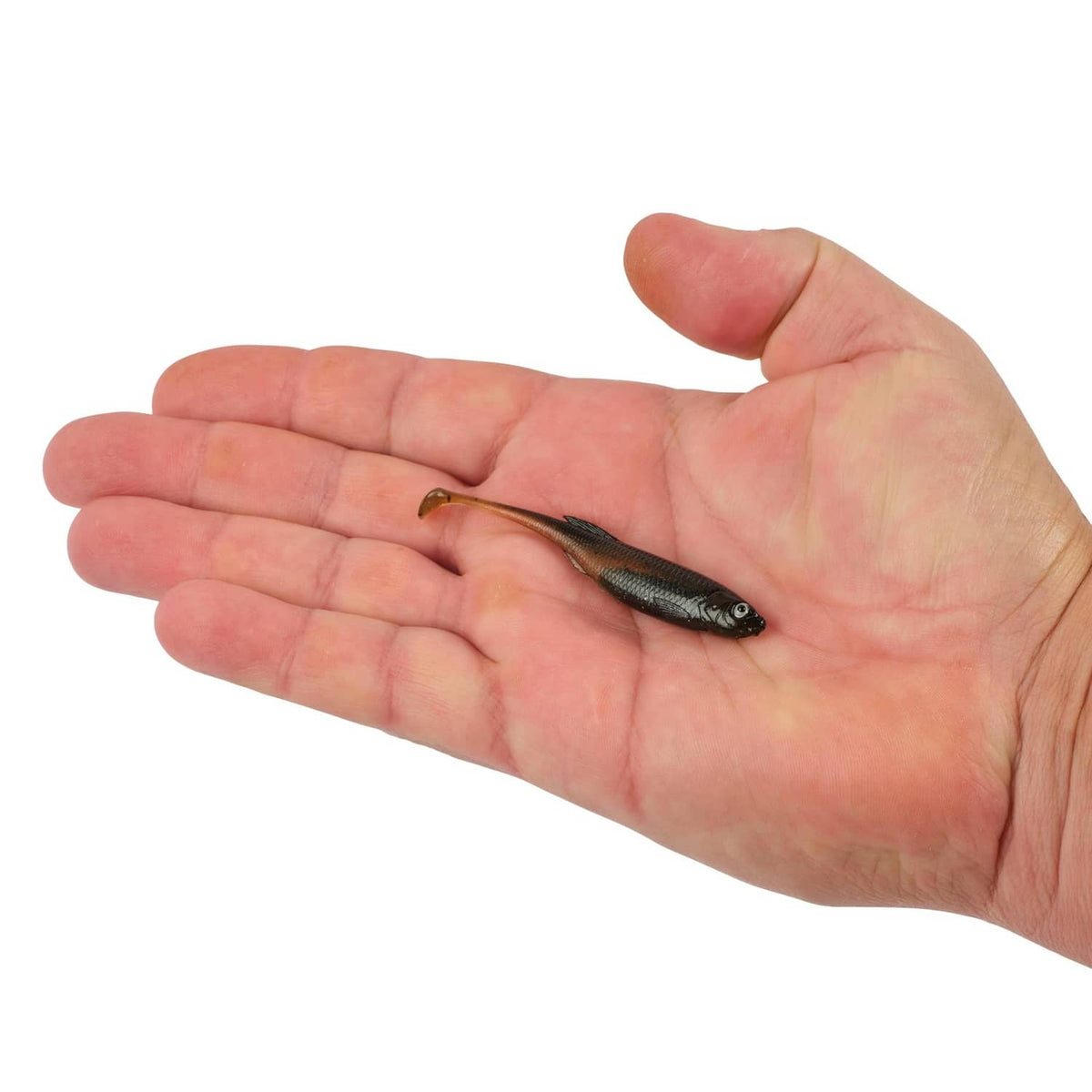 Soft plastic fishing lure in hand, dark green/black body with brown tail