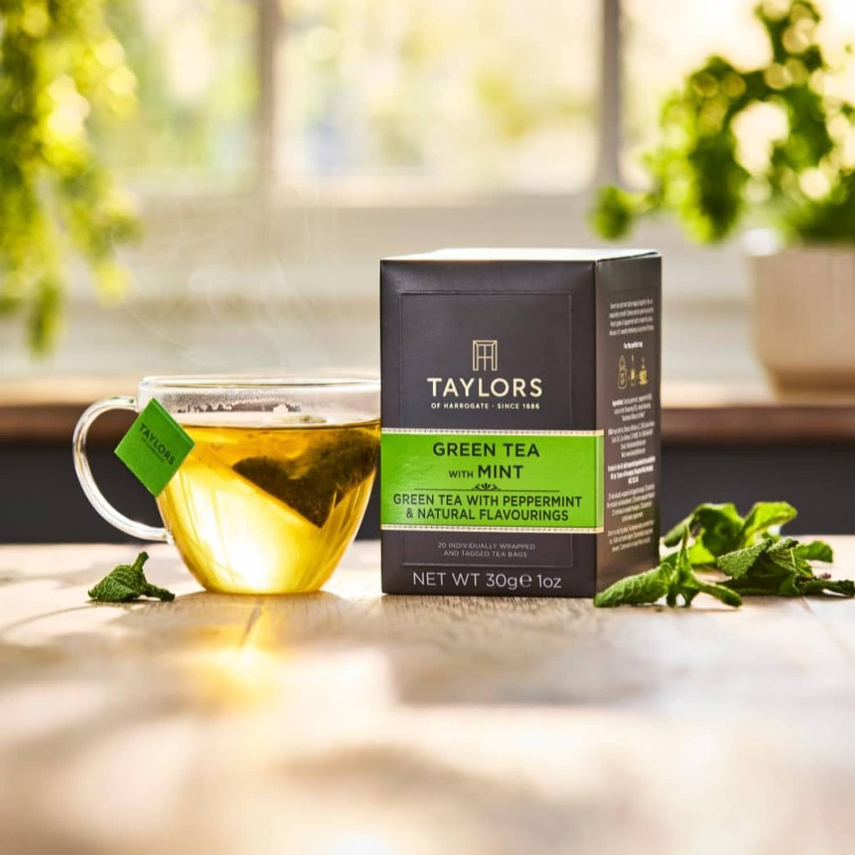 Green tea with mint tea box with glass cup and mint leaves