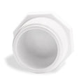 White PVC 3/4 in MNPT male threaded plug, hex cap design for pipe fitting