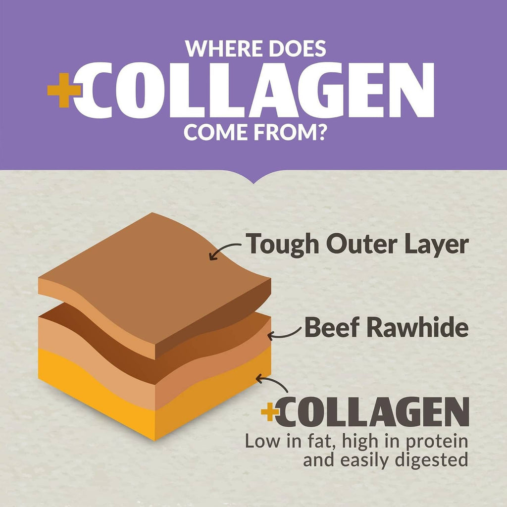 +Collagen layer diagram for collagen duck chew on product packaging