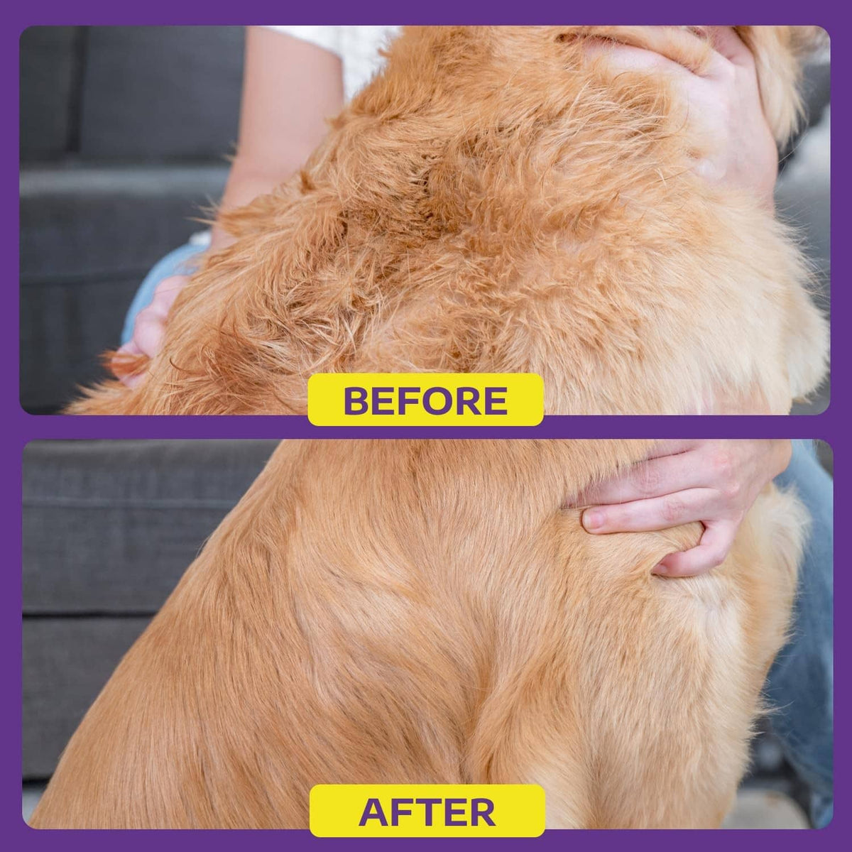 Pet dematting tool used on a golden dog coat to reduce tangles and matting