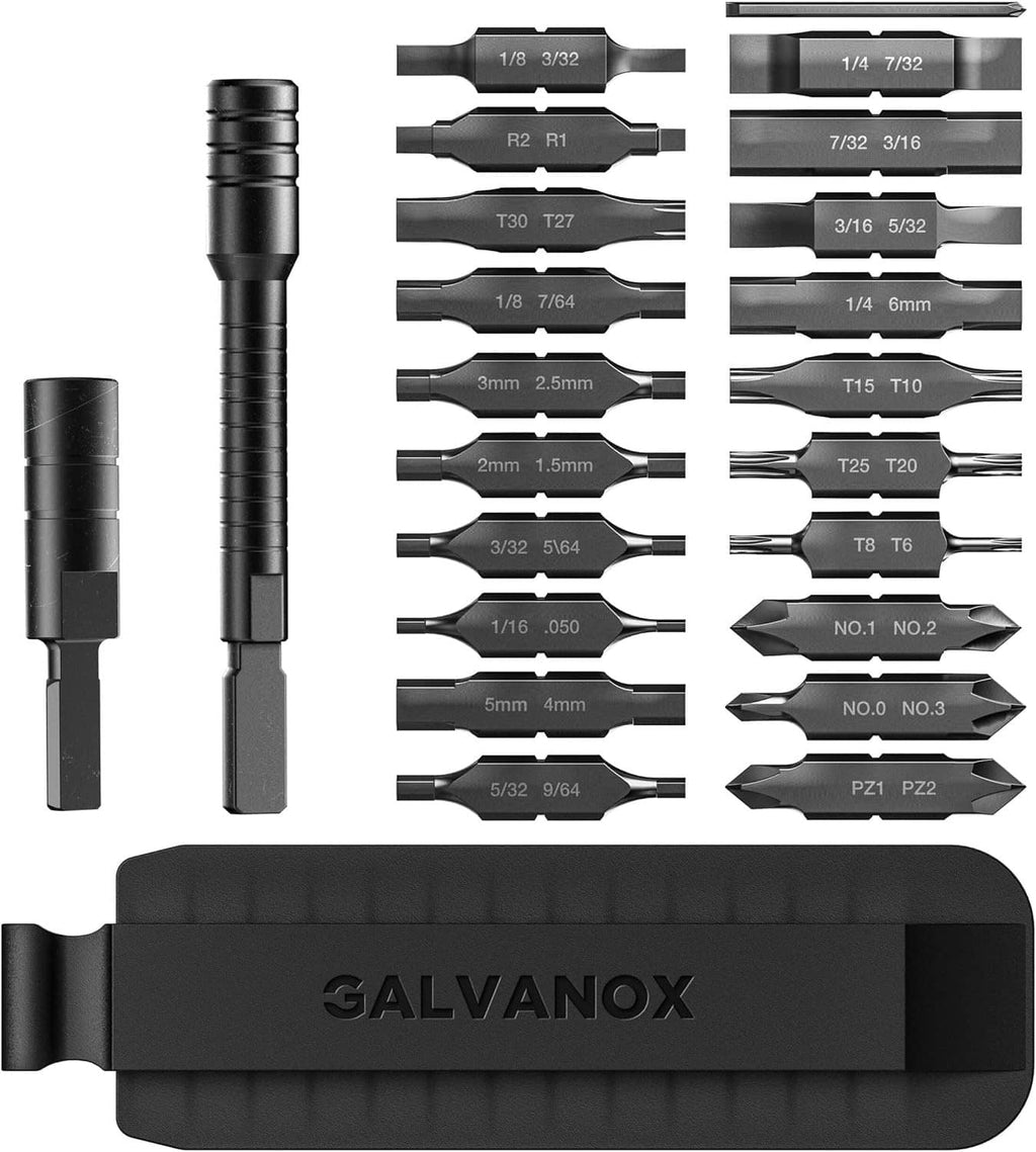 GALVANOX bit set with handle, extension, and tray of hex/Torx driver bits