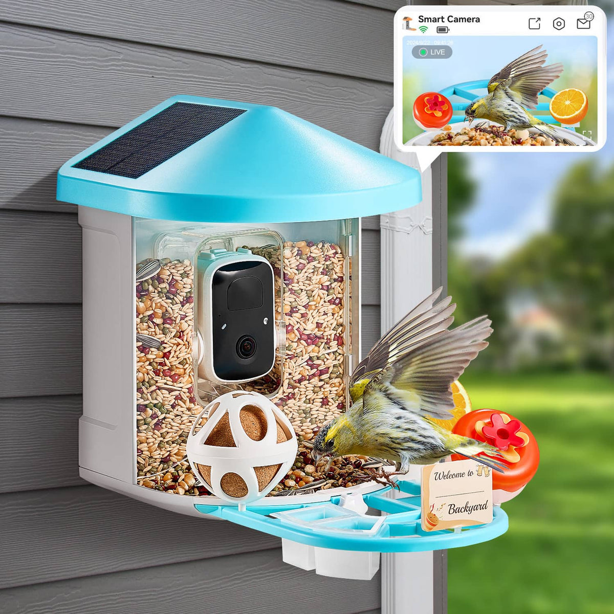 Smart bird feeder with solar top, clear seed chamber and built-in camera module