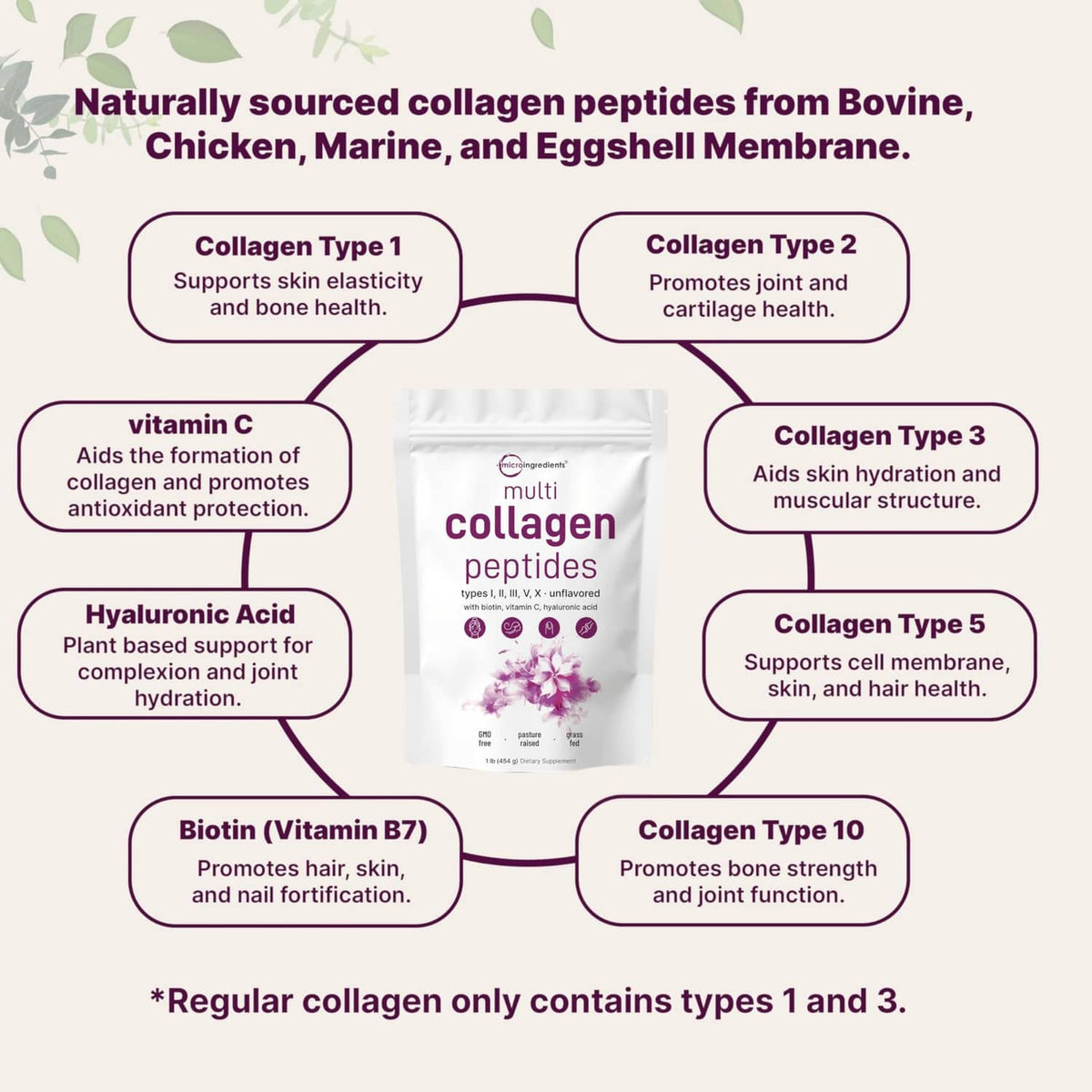 Multi collagen peptides powder pouch with collagen type benefits infographic