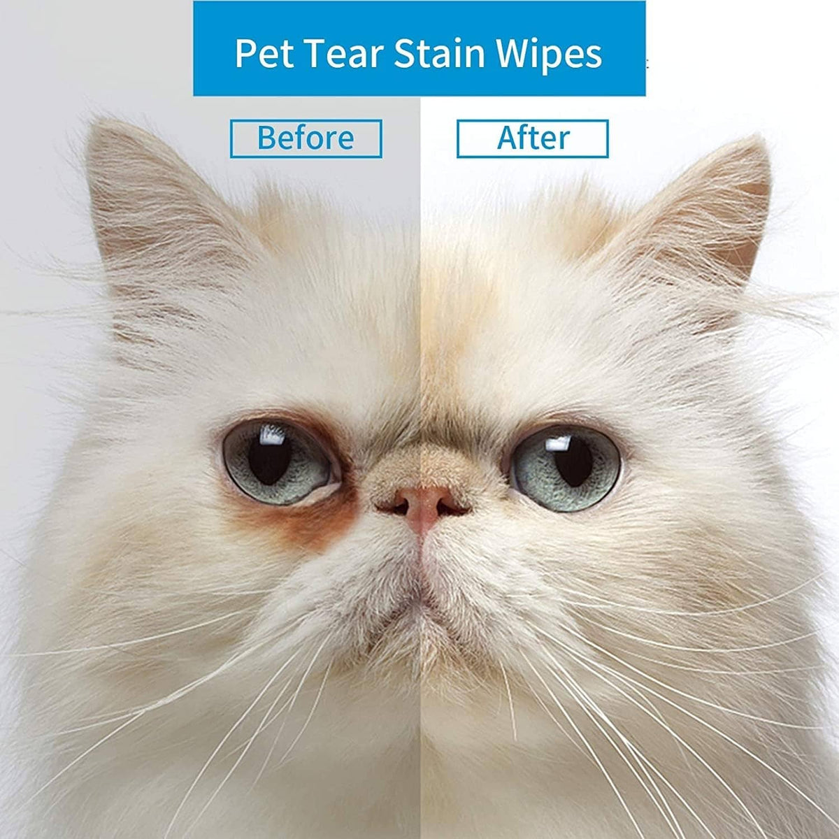 Pet eye wipes for tear stains, white cat with eyes cleaned close-up