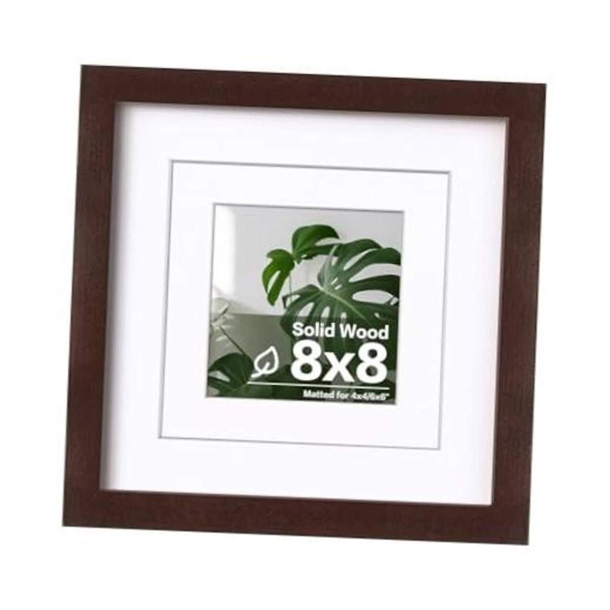 Walnut solid wood 8x8 frame with clear plexiglass and white mat opening
