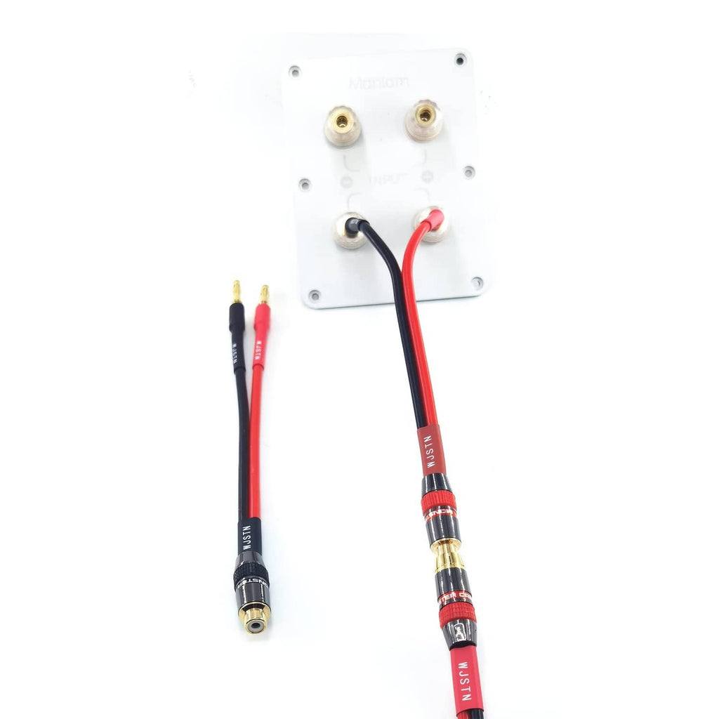 Speaker cable with gold banana plugs connected to a binding post adapter plate