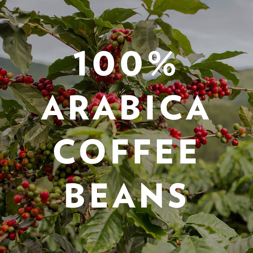 Coffee & chicory coffee beans graphic: 100% Arabica coffee beans