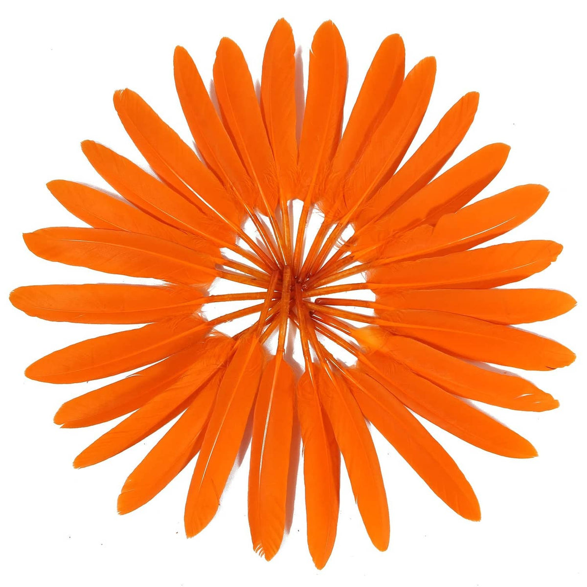 Orange goose feather plume, full fan shape with quill stem