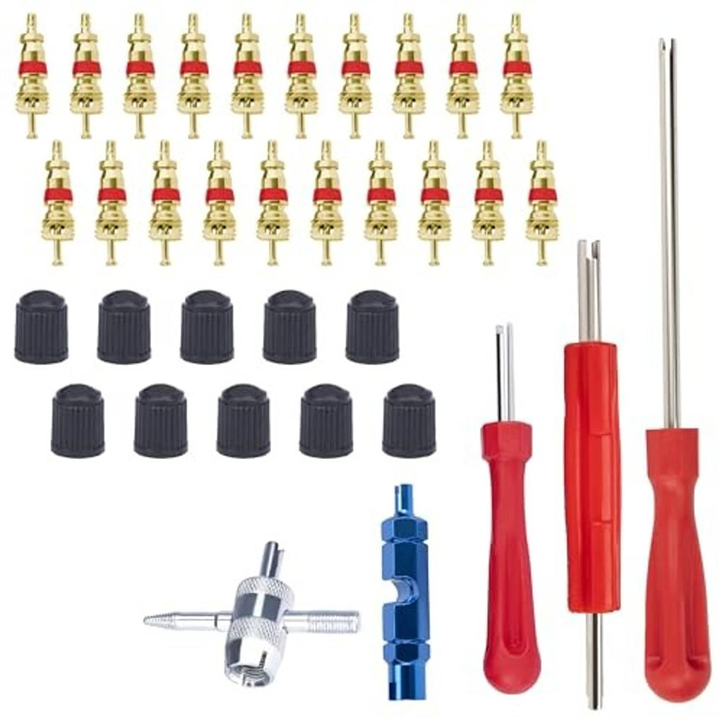 Valve core tools set with brass valves, black caps, red handle remover and steel rods