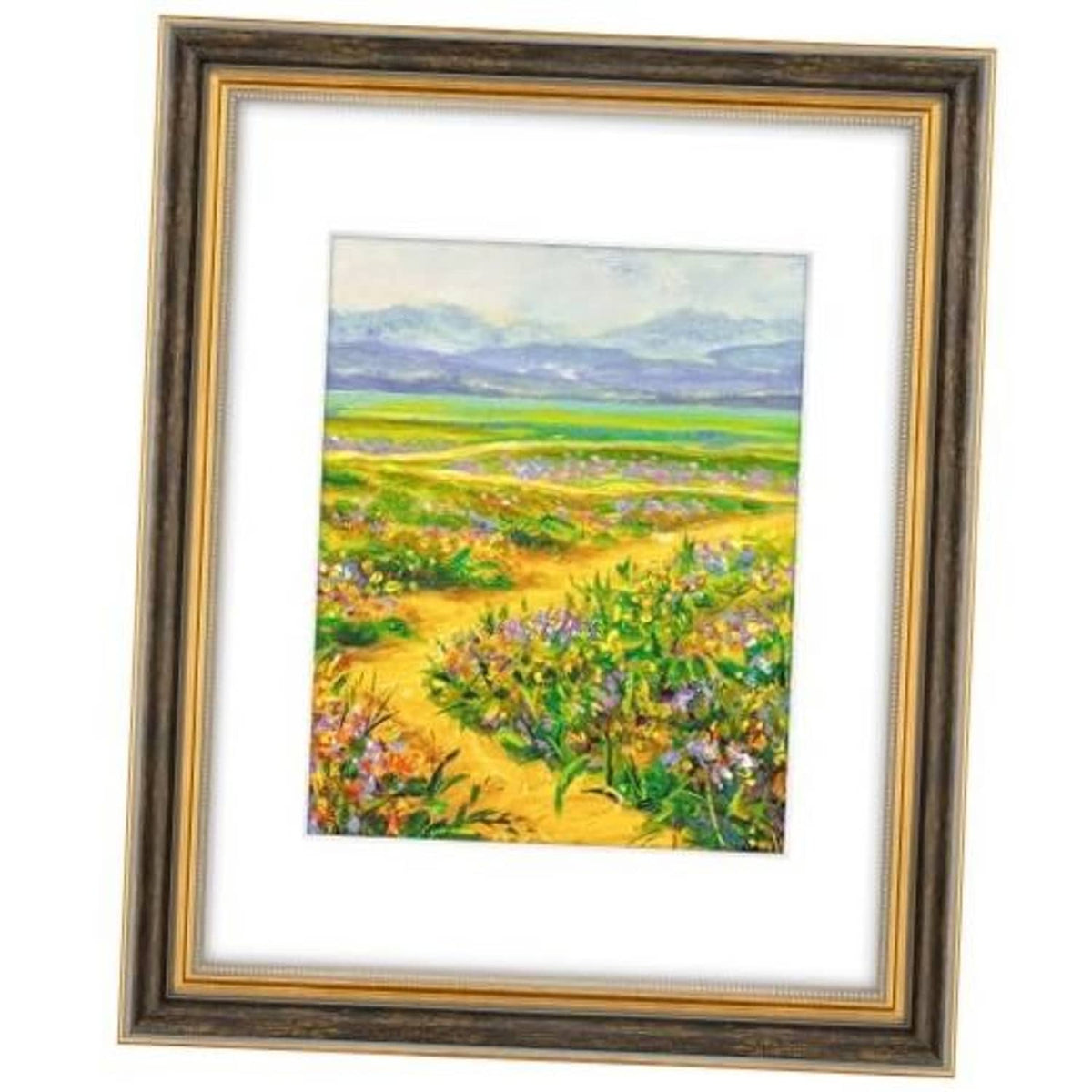 Ornate black-and-gold picture frame with glass, holding a landscape photo print