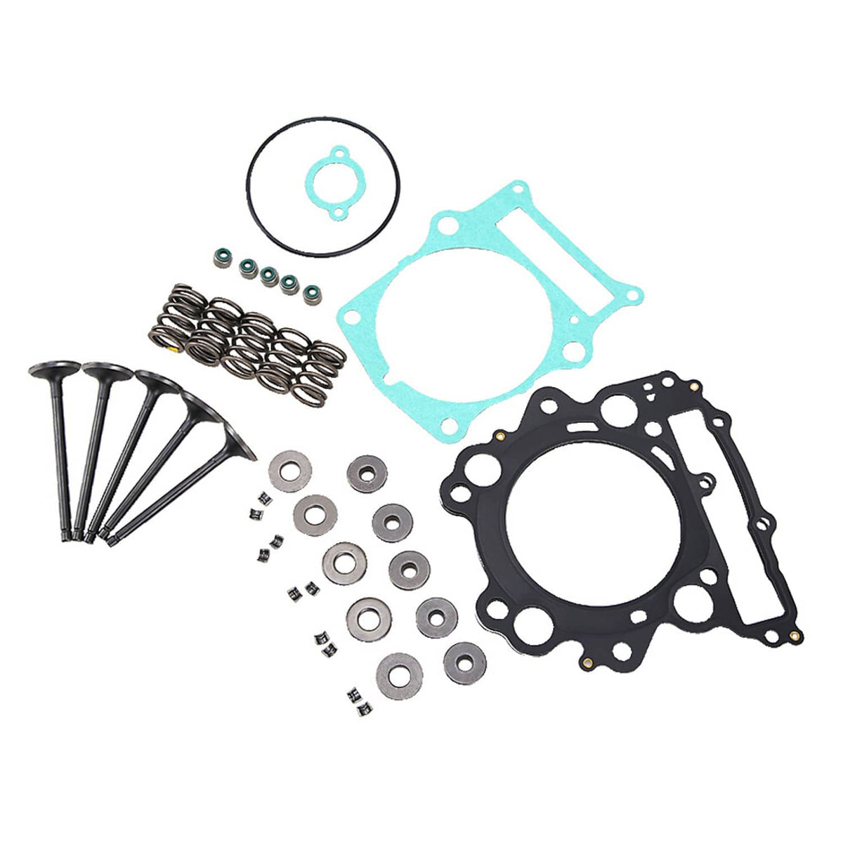 Engine gasket set with black head gaskets, blue gasket, bolts, springs, and washers