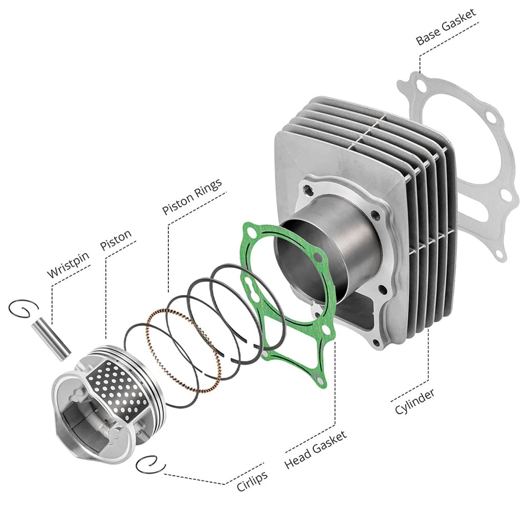 Exploded cylinder kit view with cylinder, piston, piston rings, and multiple gaskets
