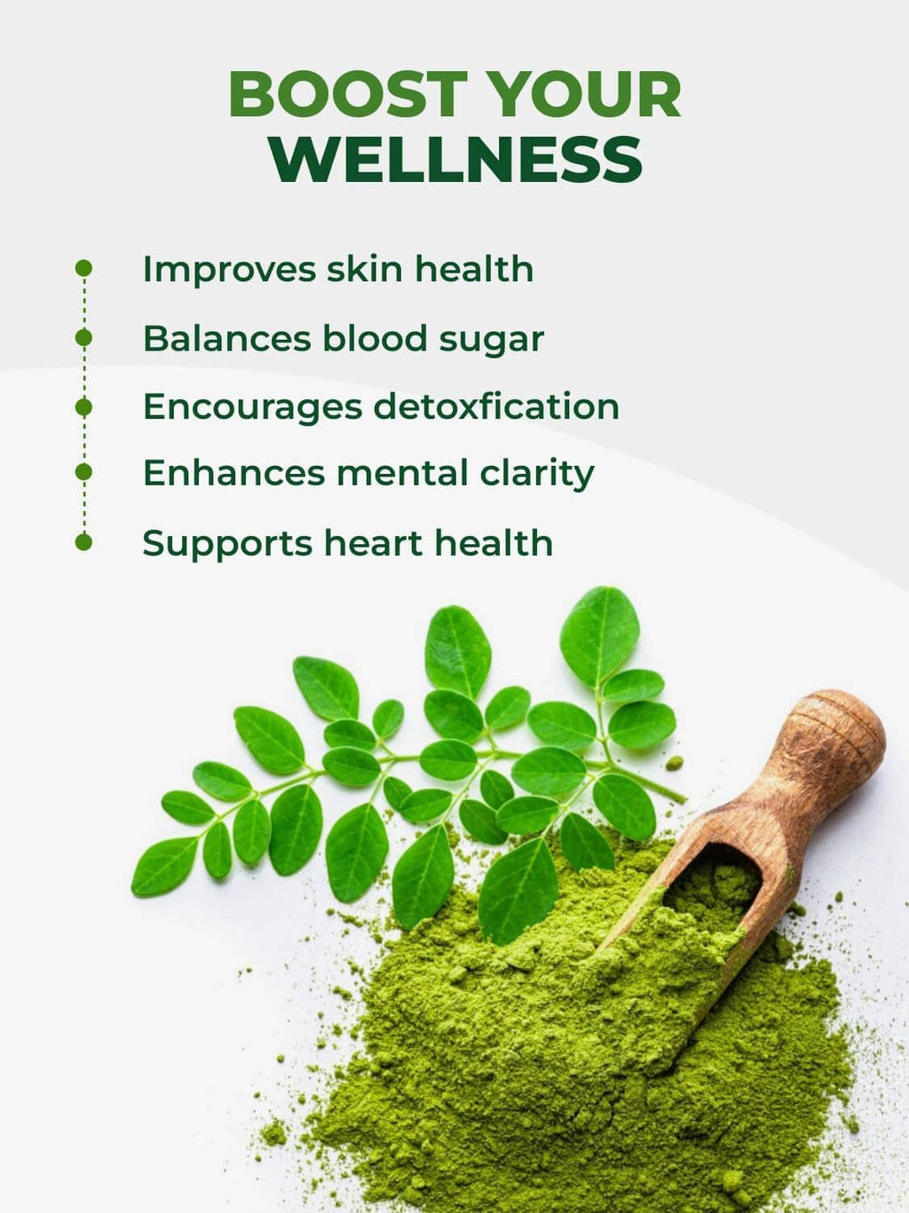 Moringa leaf powder with wooden scoop and green moringa leaves, wellness benefits