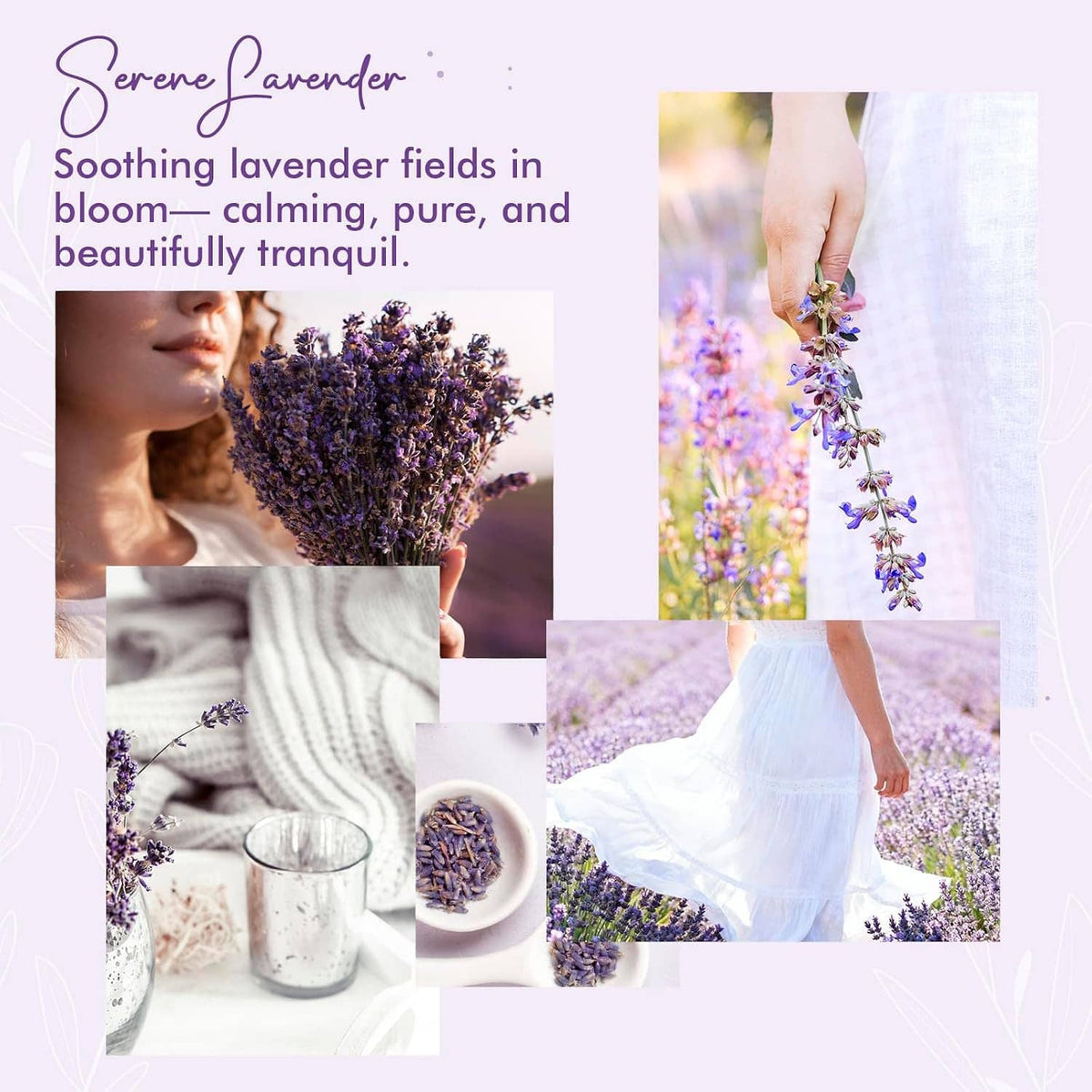 Serene Lavender room spray shown with lavender-themed collage and product bottle