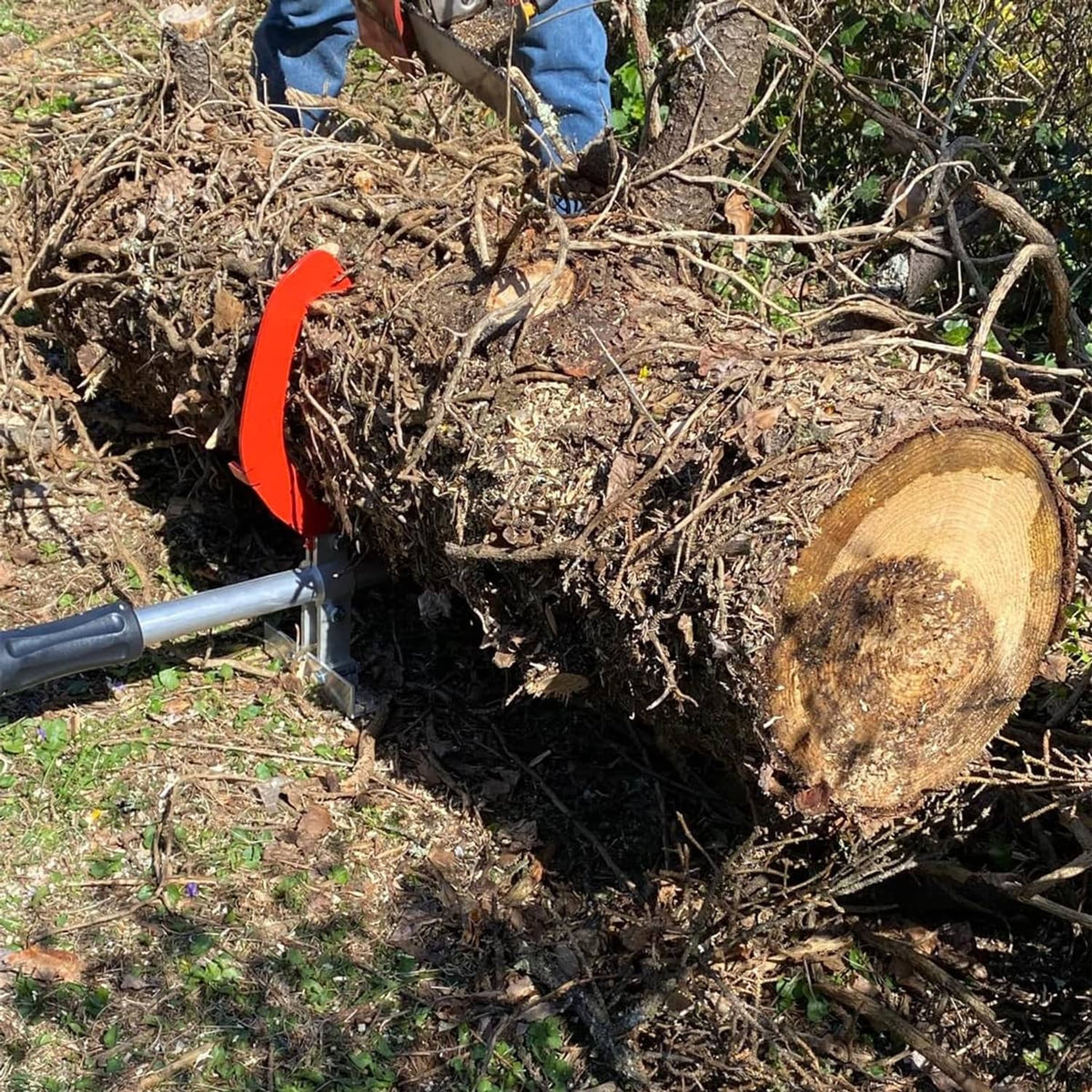 Log jack grabbing a cut log with red hook on silver beam and black handle