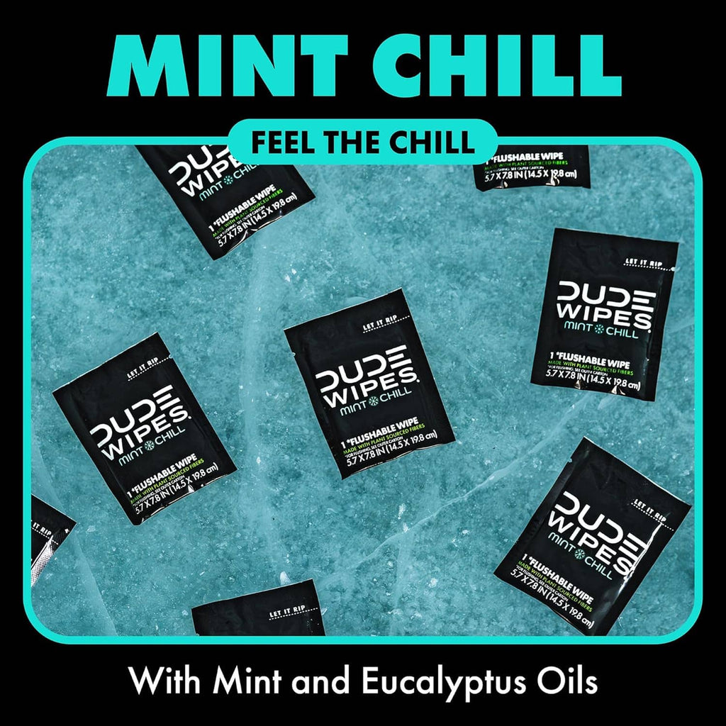 DUDE Wipes Mint Chill flushable wipes packs, with multiple sealed packets