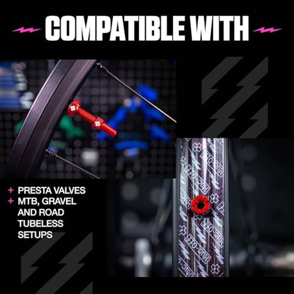 Tubeless Presta valve set compatibility graphic featuring a red valve