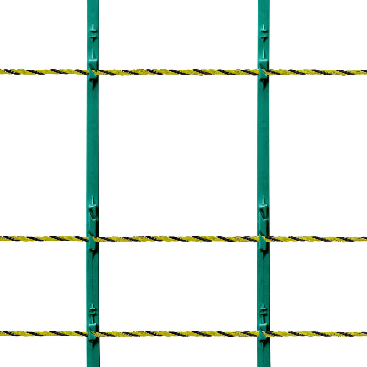 Close view of electric fence wire connections on green posts with yellow-black strands