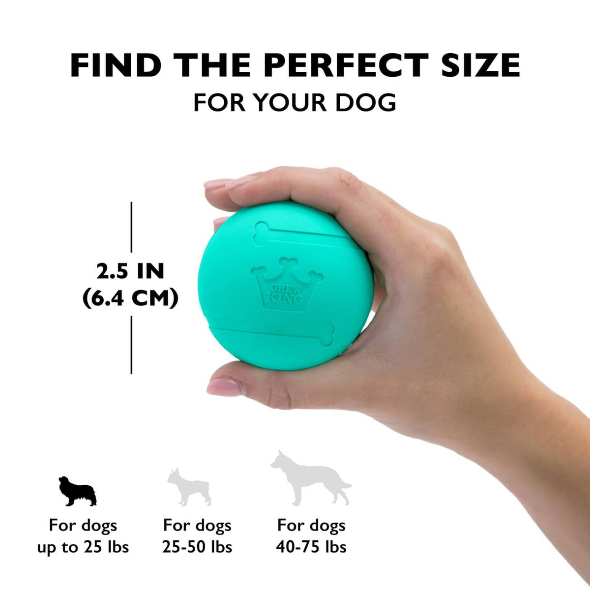 2.5-inch teal fetch ball held in hand, round bouncy chew toy with center hole
