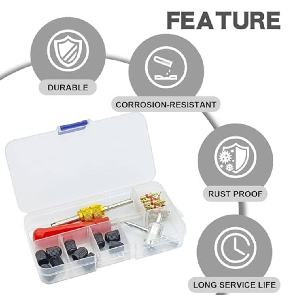 Valve core remover kit in clear plastic case with red handle, gold adapter, and black cores