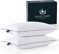 White bed pillows, hotel style, two white down-filled pillows with dark piping