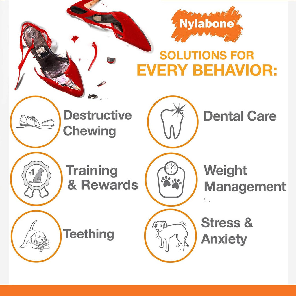 Nylabone solutions for every behavior infographic with icons and red shoe debris