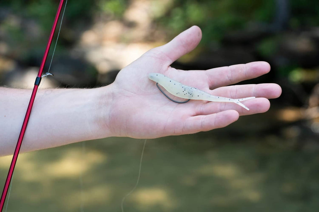 Hand displaying purple-and-white speckled soft plastic fishing lure