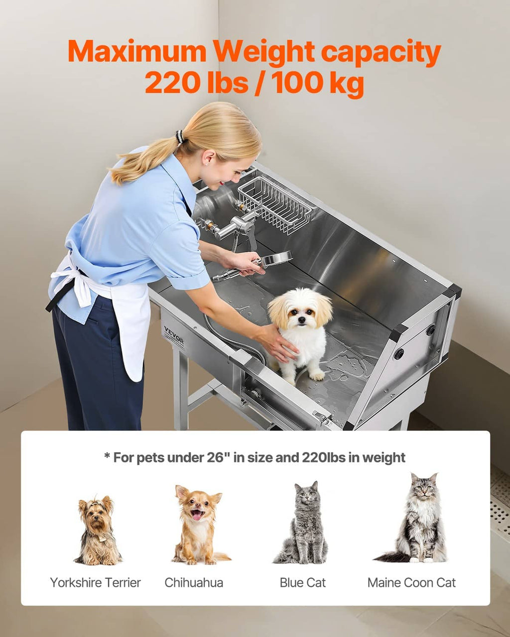 Stainless steel dog bath station with step ladder and shower faucet for small pets