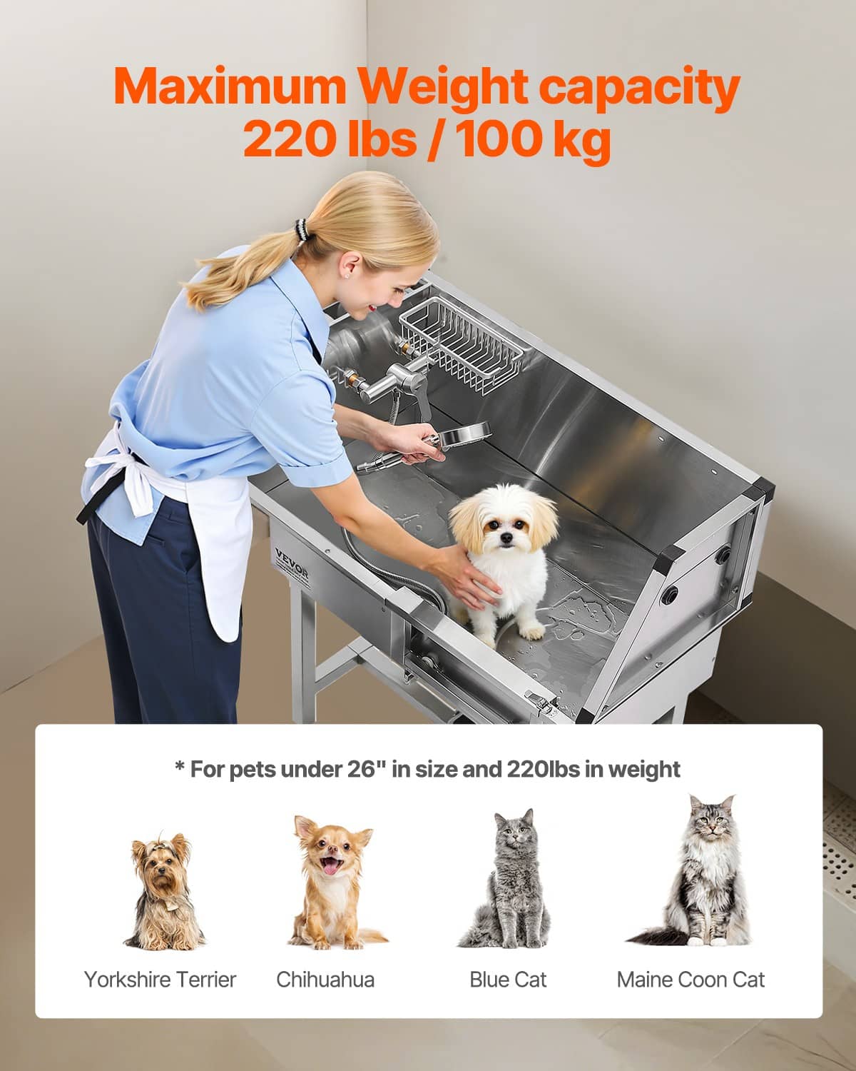 Stainless steel dog bath station with step ladder and shower faucet for small pets
