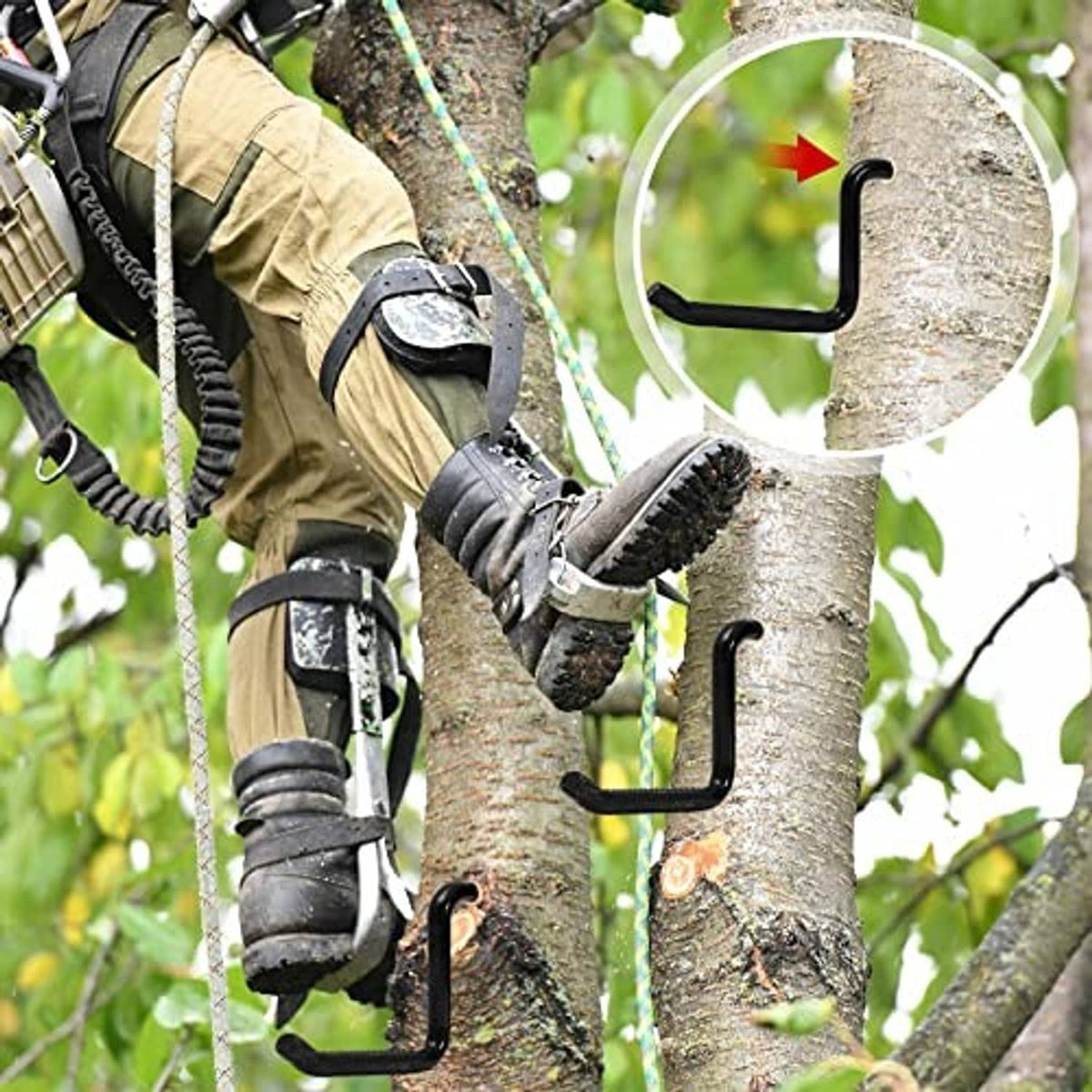 Screw-in tree step hooks attached to a tree trunk for hunting