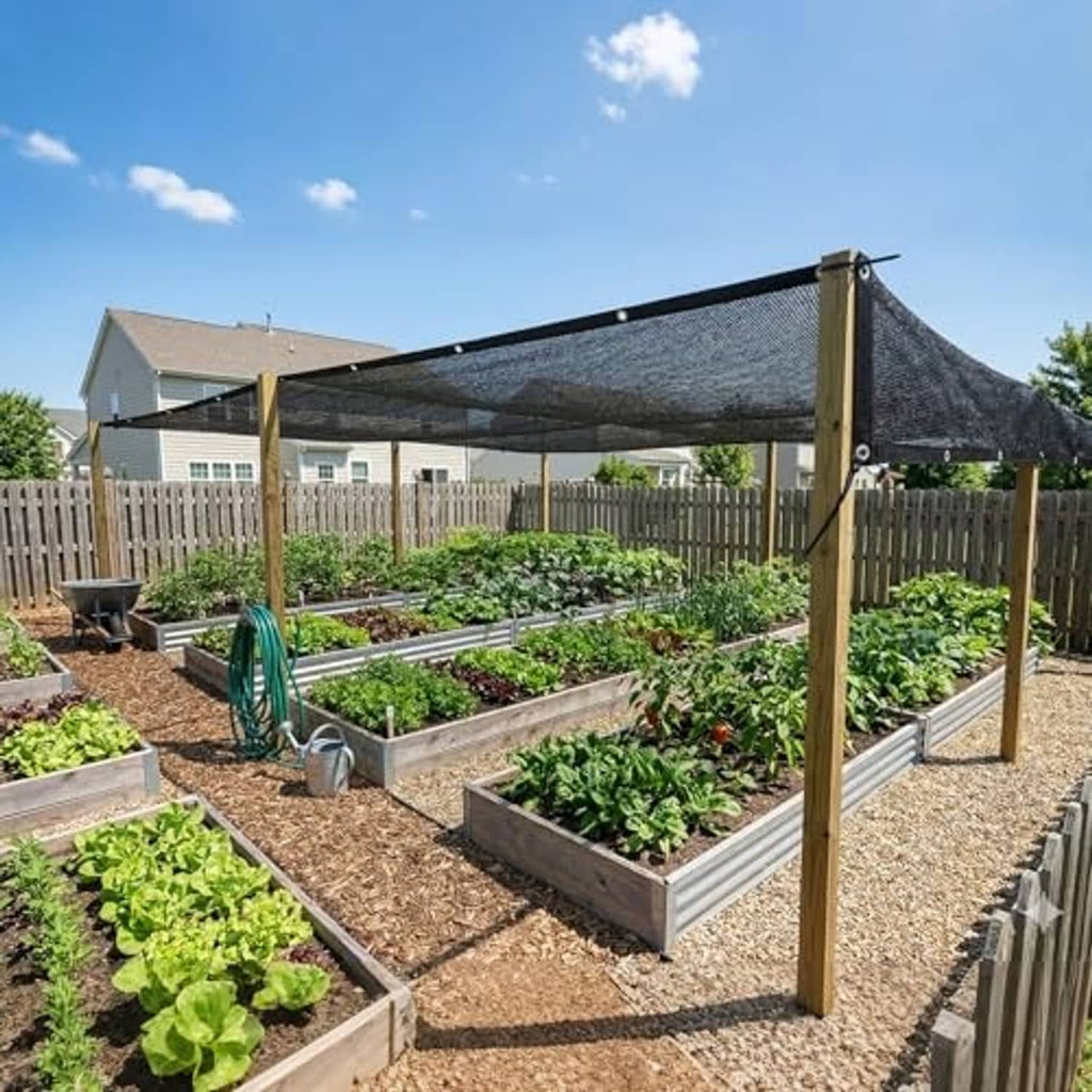 Black shade netting tarp over raised vegetable garden beds supported by poles