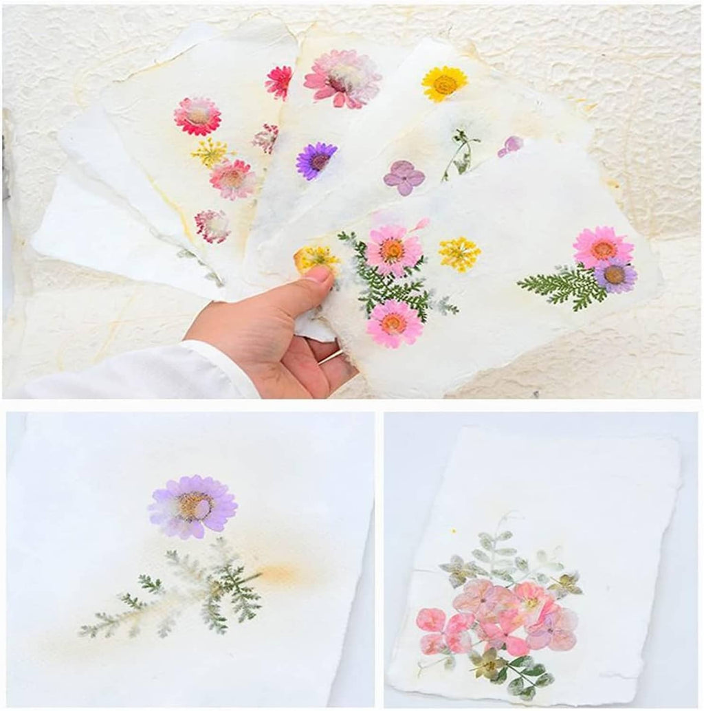 Decorative handmade flower paper sheet with pressed blooms