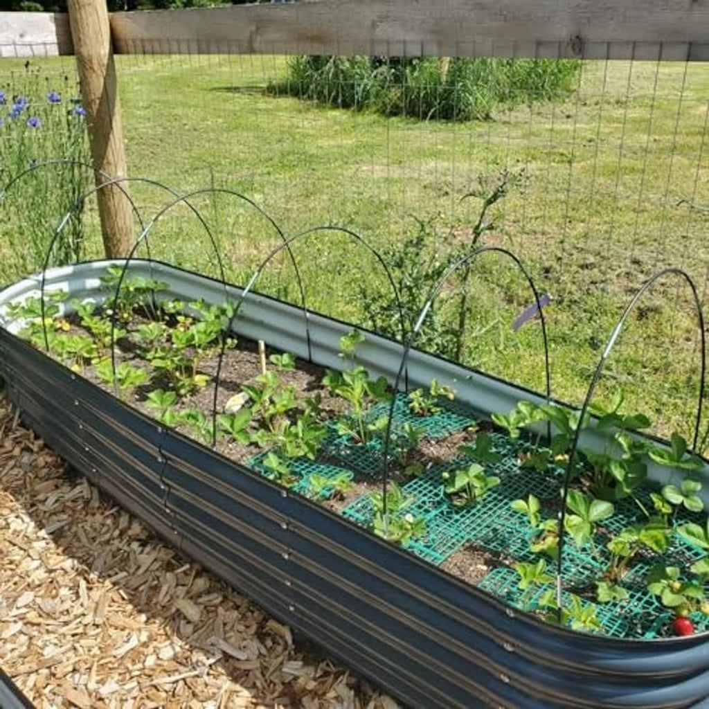 Raised bed garden grow tunnel with black hoops and clear cover