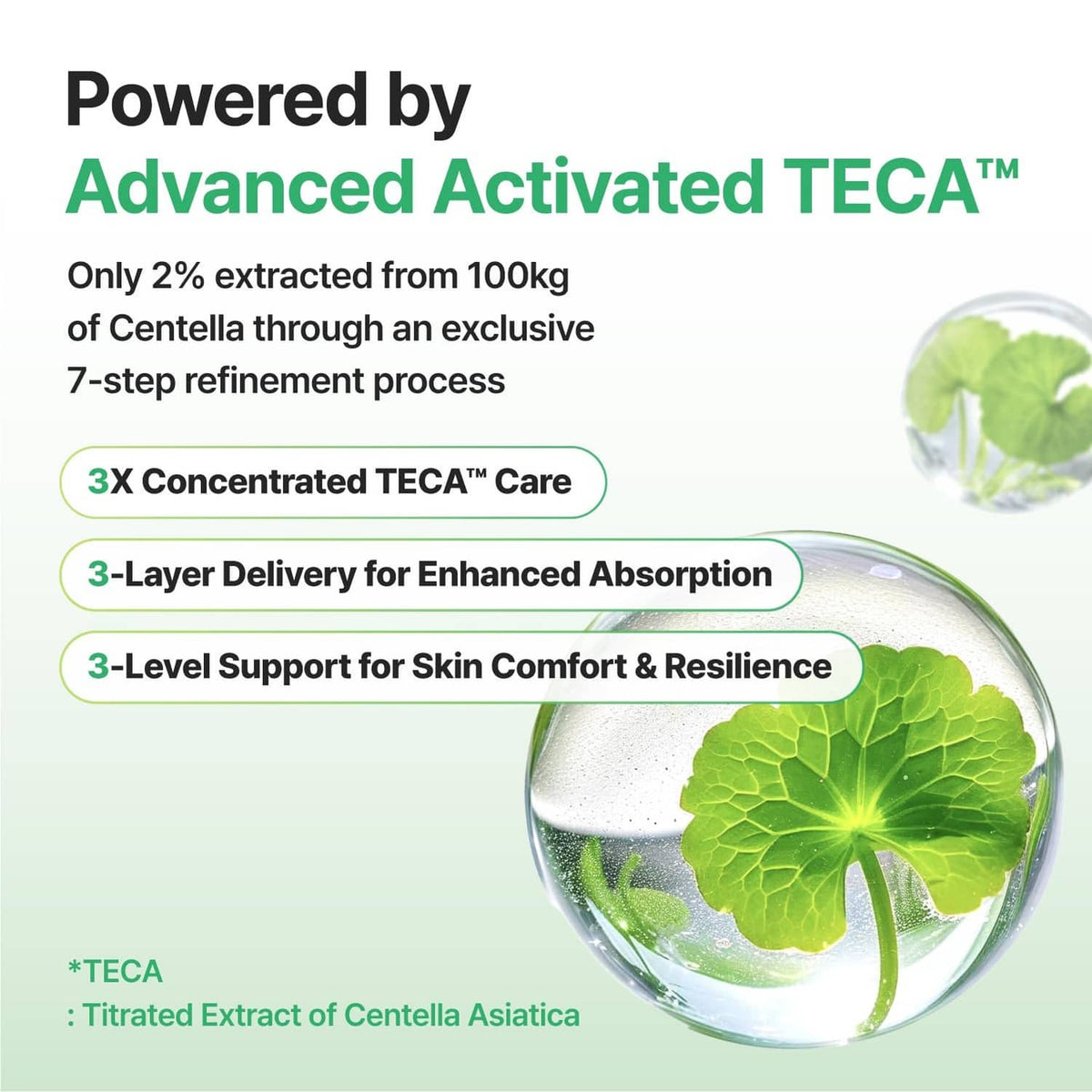 TECA activated extract infographic with green leaf and clear gel droplet graphic
