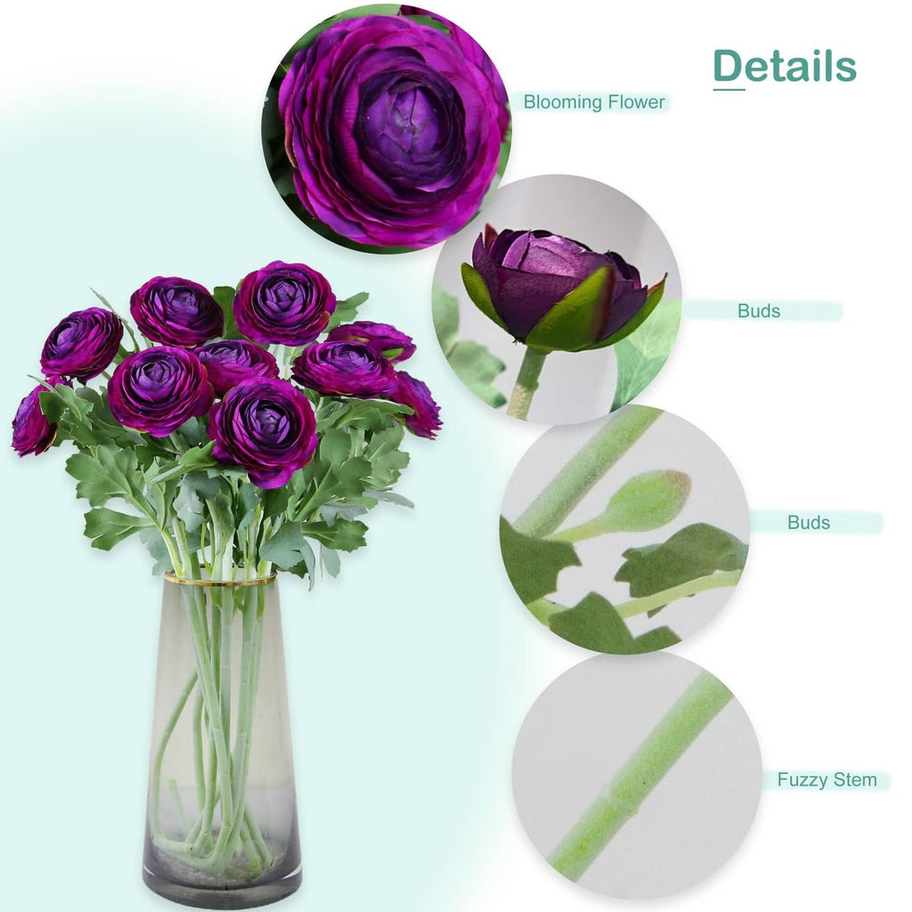 Purple ranunculus blooms with green leaf buds; close-up flower and stem details